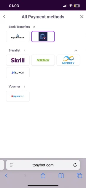Tonybet Casino payment