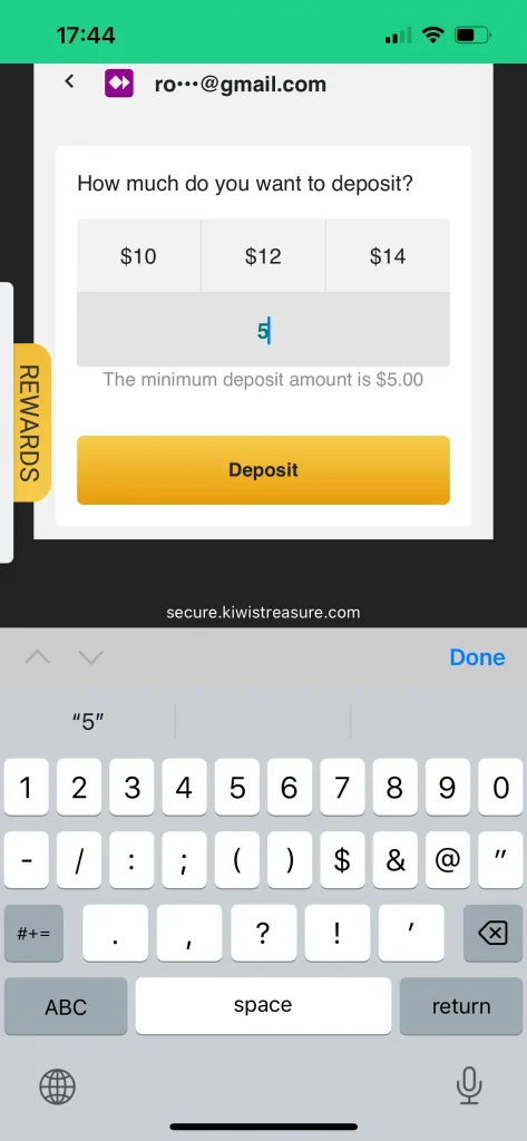 Kiwi's Treasure Casino Deposit