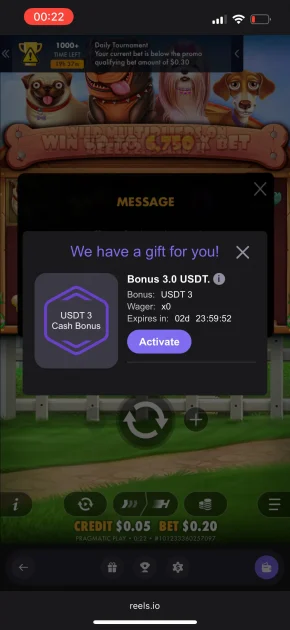 Reels.io casino game