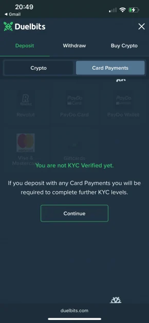 Duelbits Casino payment