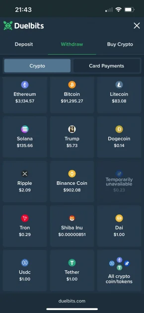 Duelbits Casino Game