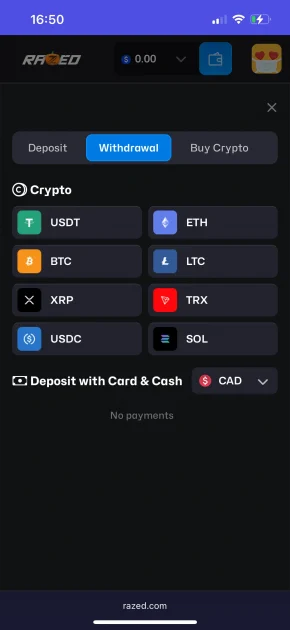 Razed Casino Payment